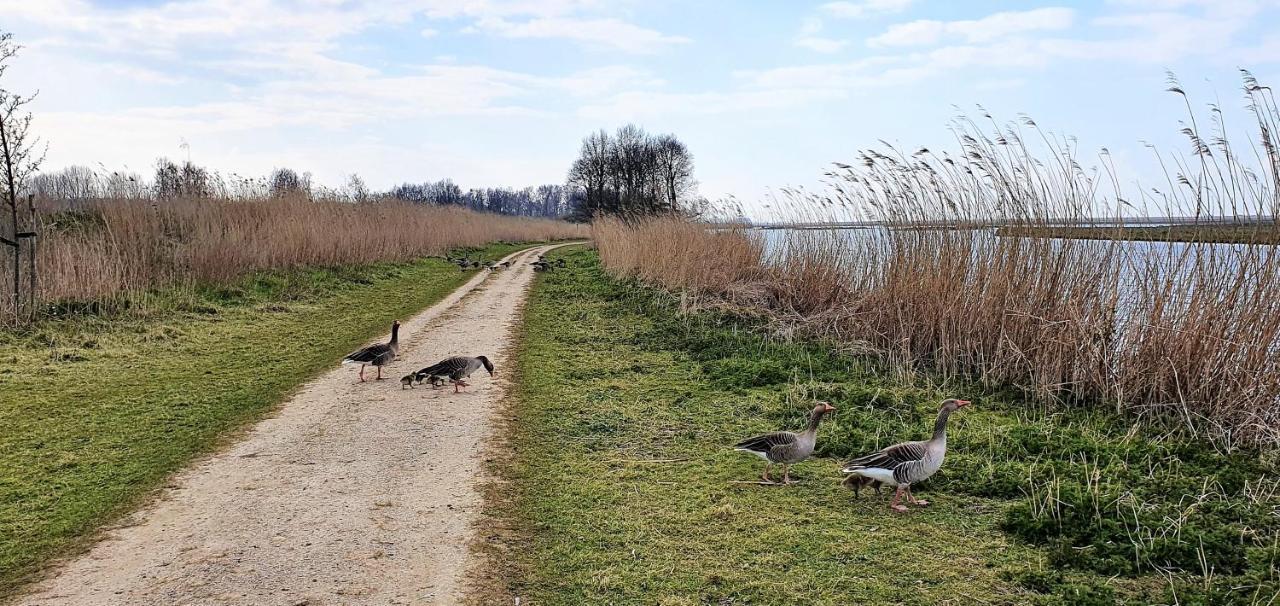 Inntermezzo Almere Eksteriør bilde